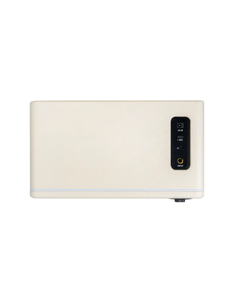 MOOER HORNET15IWH | MusicGoodDeal