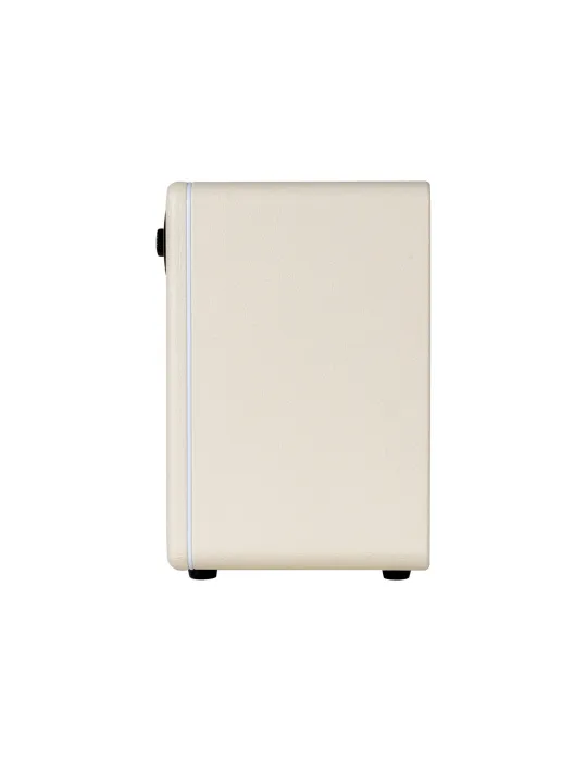 MOOER HORNET15IWH | MusicGoodDeal