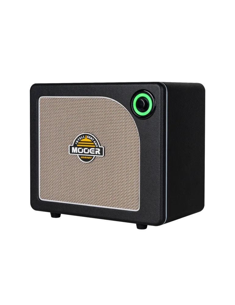 MOOER HORNET15IBK | MusicGoodDeal