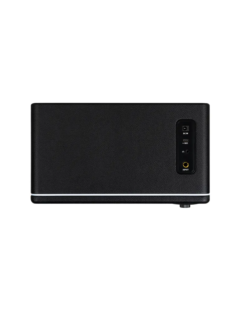 MOOER HORNET15IBK | MusicGoodDeal