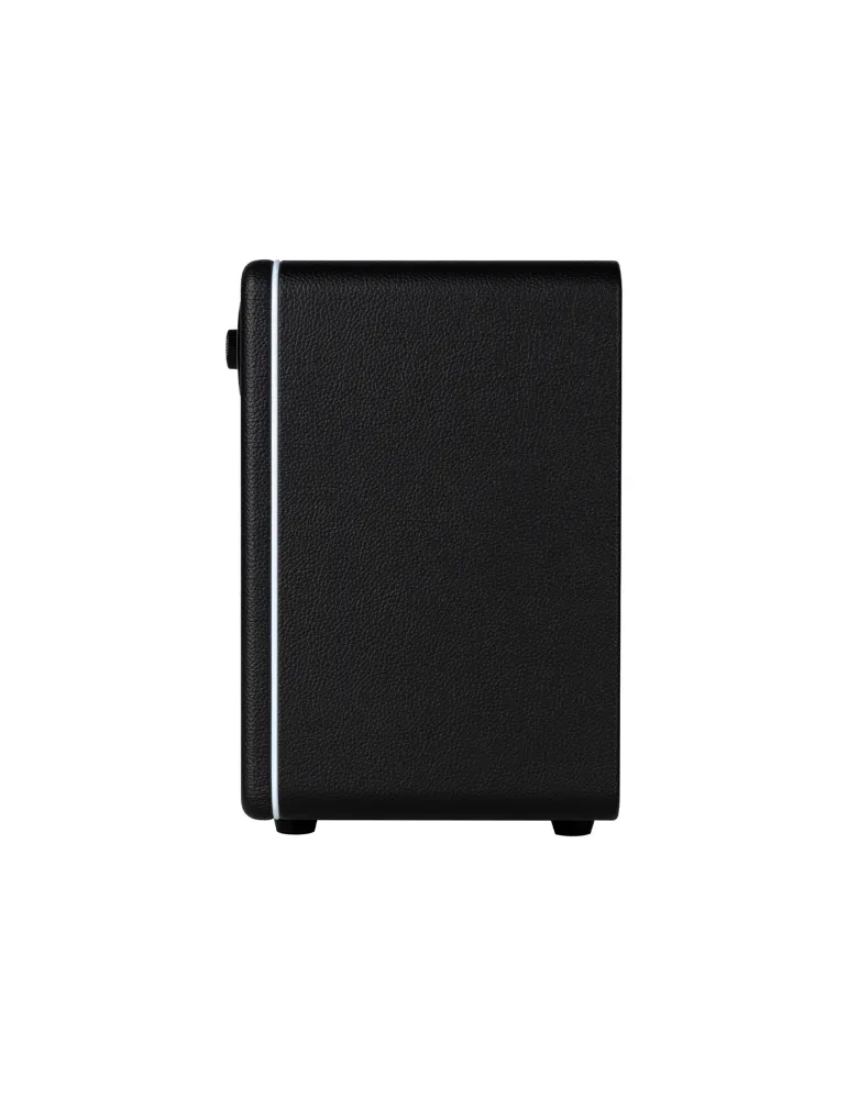 MOOER HORNET15IBK | MusicGoodDeal