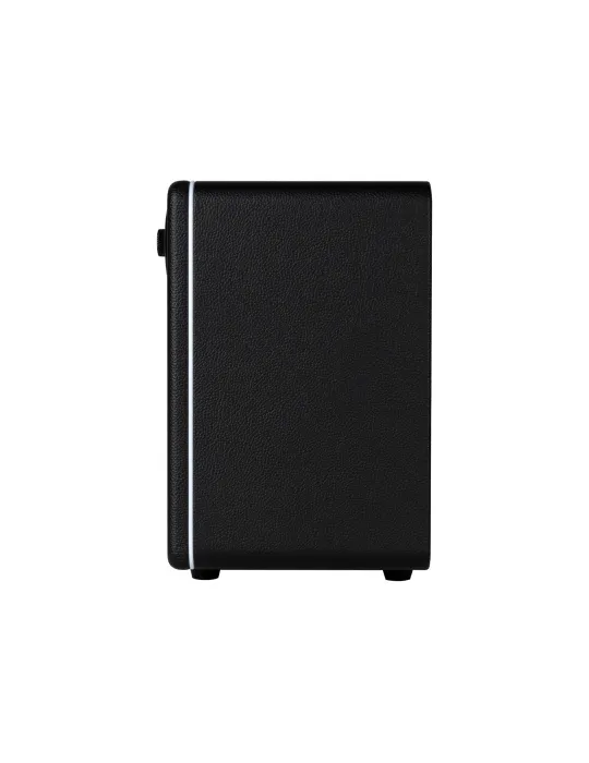 MOOER HORNET15IBK | MusicGoodDeal