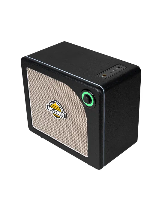 MOOER HORNET15IBK | MusicGoodDeal