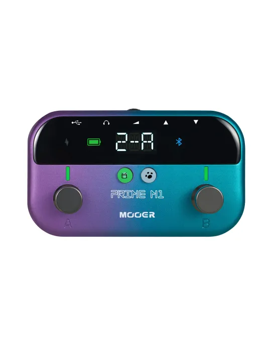 MOOER PRIME-M1 | MusicGoodDeal