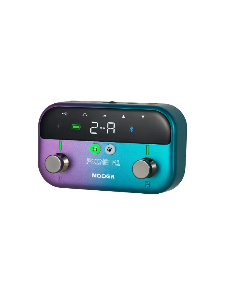 MOOER PRIME-M1 | MusicGoodDeal