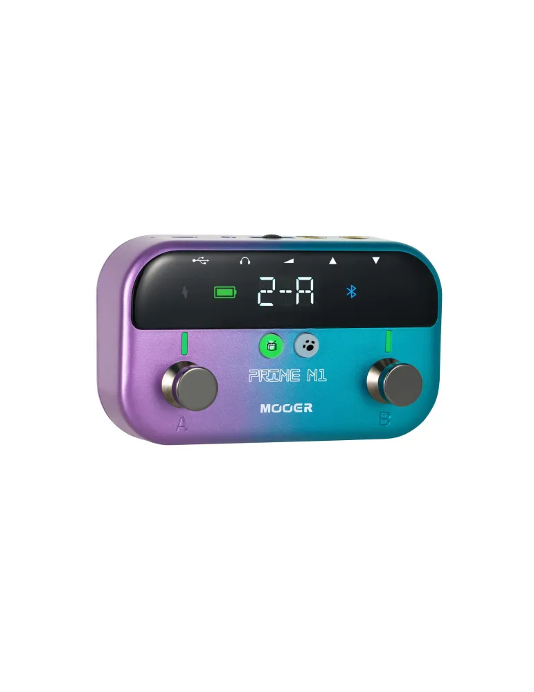 MOOER PRIME-M1 | MusicGoodDeal