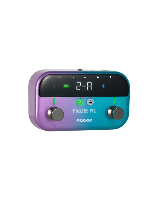 MOOER PRIME-M1 | MusicGoodDeal