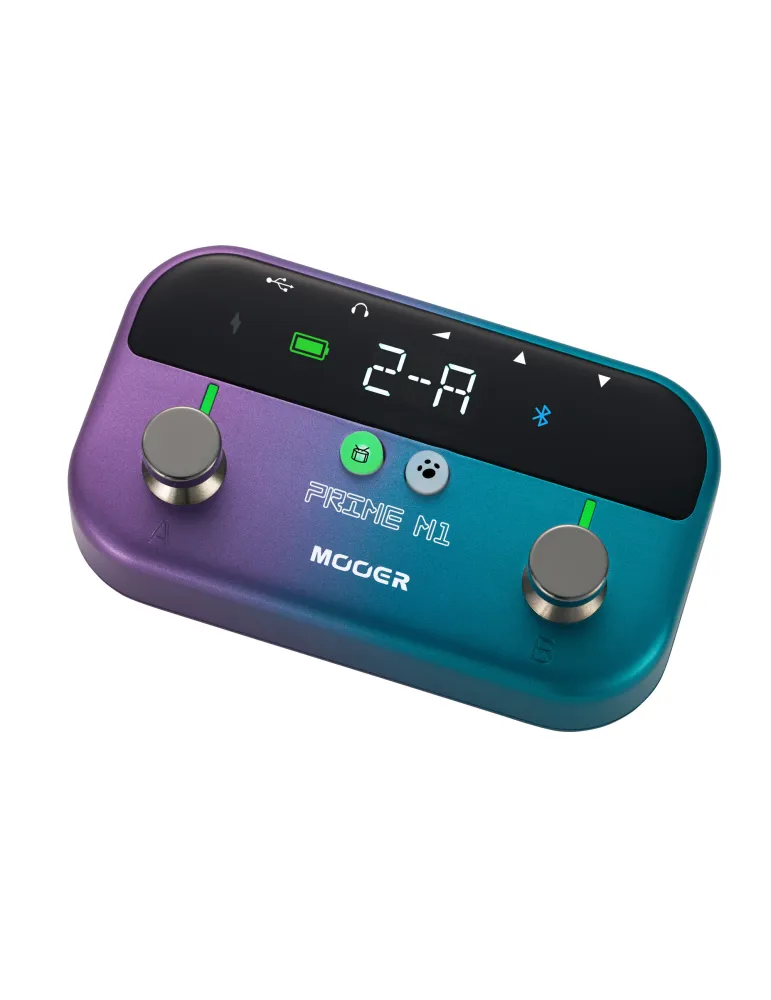 MOOER PRIME-M1 | MusicGoodDeal
