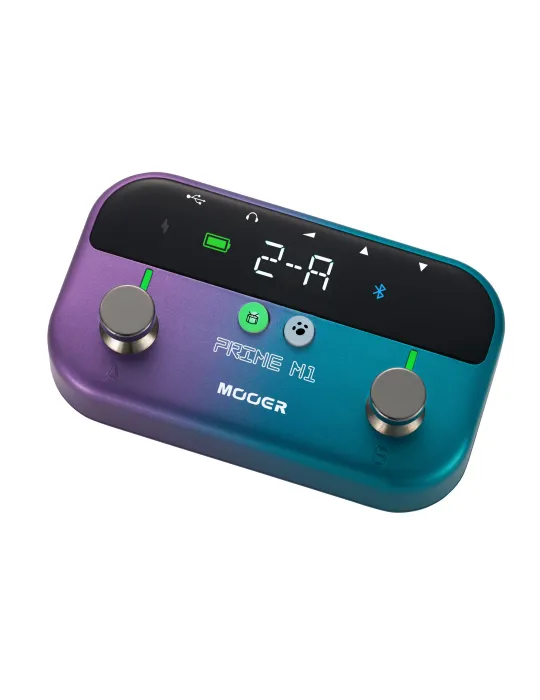MOOER PRIME-M1 | MusicGoodDeal