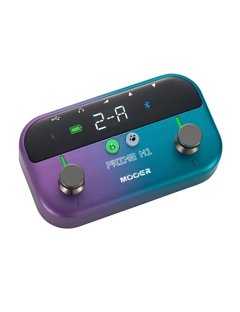 MOOER PRIME-M1 | MusicGoodDeal