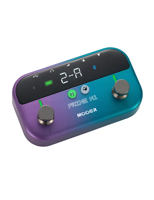 MOOER PRIME-M1 | MusicGoodDeal