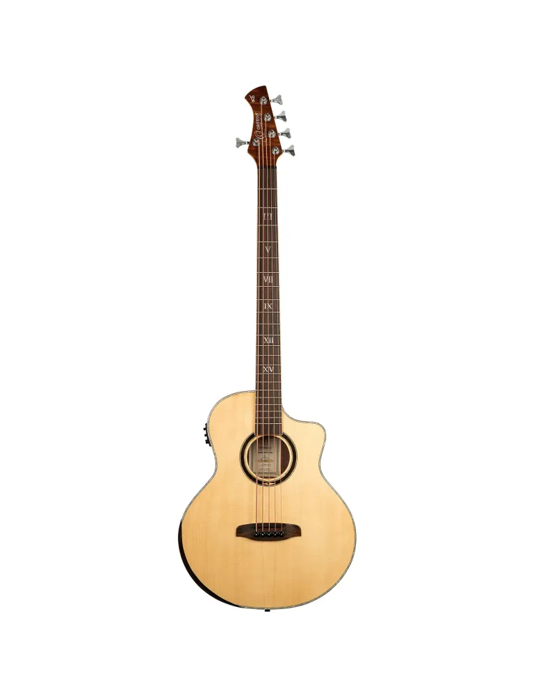 ORTEGA KTSM2-5 | MusicGoodDeal