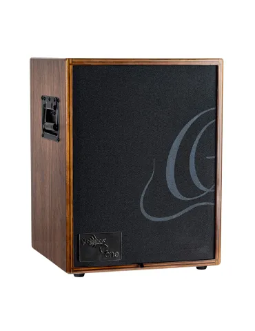  ORTEGA AMP 100W, 2 CHANNELS, REV/CHORUS|MusicGoodDeal 