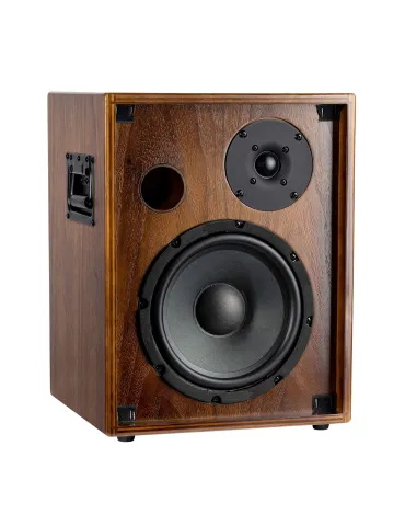  ORTEGA AMP 100W, 2 CHANNELS, REV/CHORUS|MusicGoodDeal  2