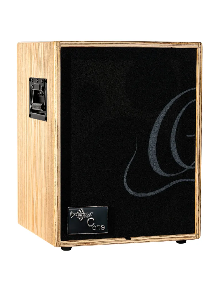  ORTEGA AMP 100W, 2 CANALES, REV/CHORUS|MusicGoodDeal 