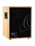  ORTEGA AMP 100W, 2 CANALES, REV/CHORUS|MusicGoodDeal 