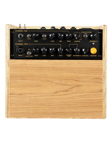  ORTEGA AMP 100W, 2 CHANNELS, REV/CHORUS|MusicGoodDeal  2