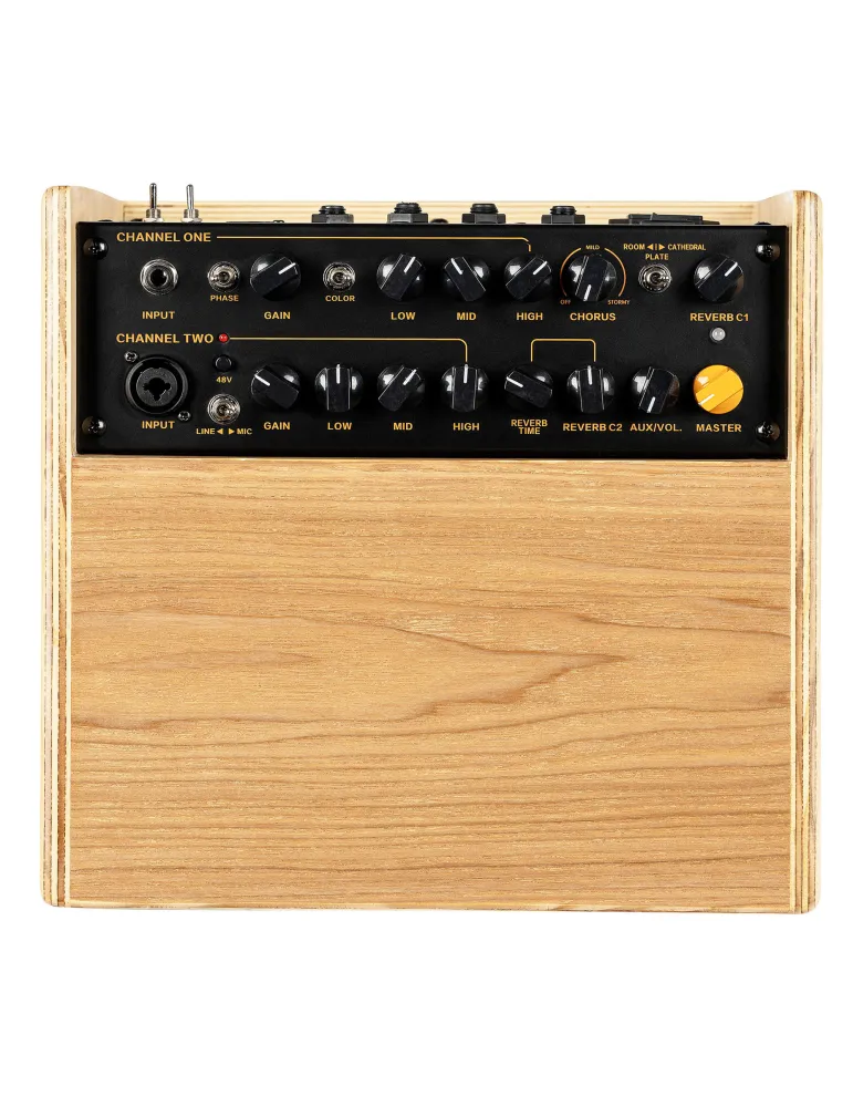  ORTEGA AMP 100W, 2 CANALES, REV/CHORUS|MusicGoodDeal 