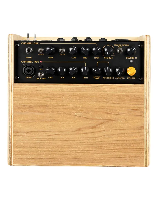  ORTEGA AMP 100W, 2 CANALES, REV/CHORUS|MusicGoodDeal 