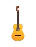 ORTEGA R170F | MusicGoodDeal