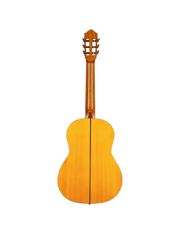 ORTEGA R170F | MusicGoodDeal 2