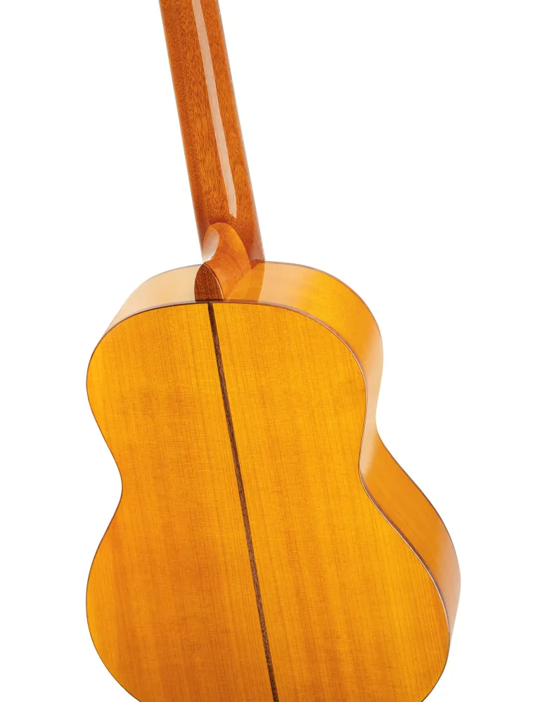 ORTEGA R170F | MusicGoodDeal