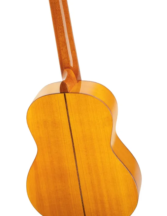 ORTEGA R170F | MusicGoodDeal