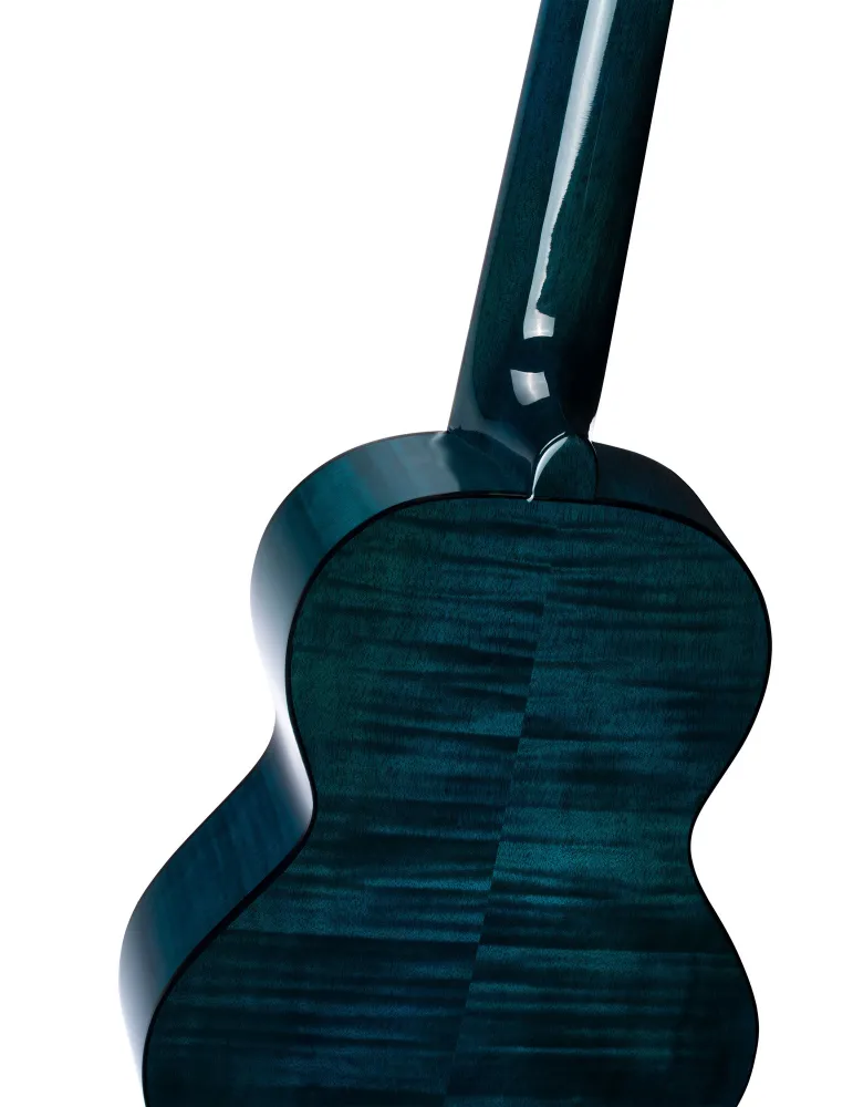 ORTEGA RGLE18BLF | MusicGoodDeal