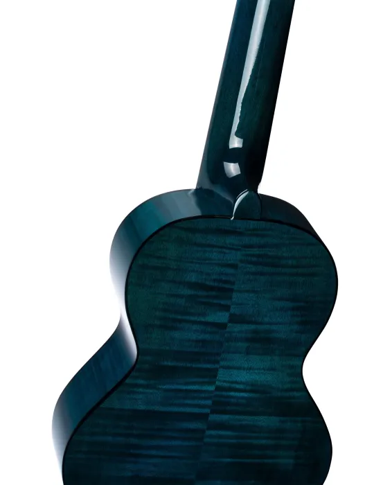 ORTEGA RGLE18BLF | MusicGoodDeal