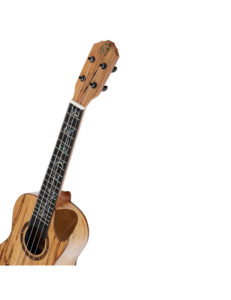  ORTEGA UKULELE CONCERT , ELITE SP-MAPLE|MusicGoodDeal 
