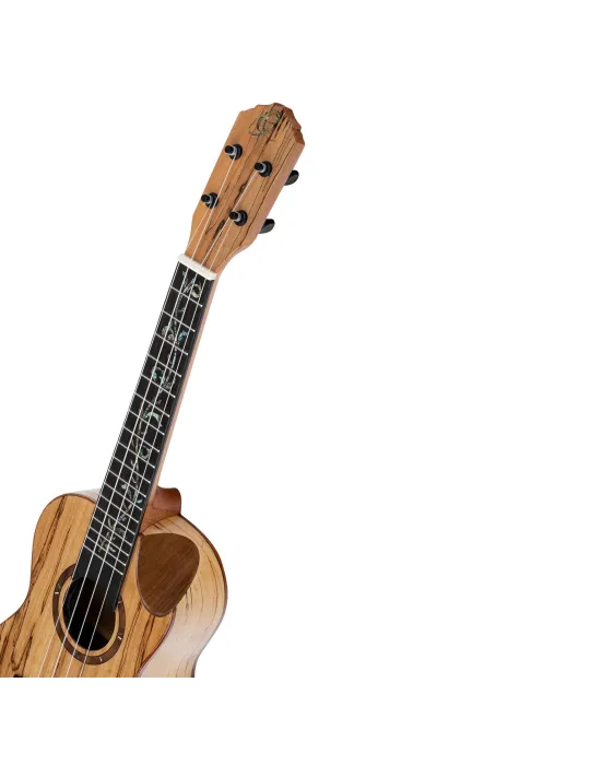  ORTEGA UKULELE CONCERT , ELITE SP-MAPLE|MusicGoodDeal 