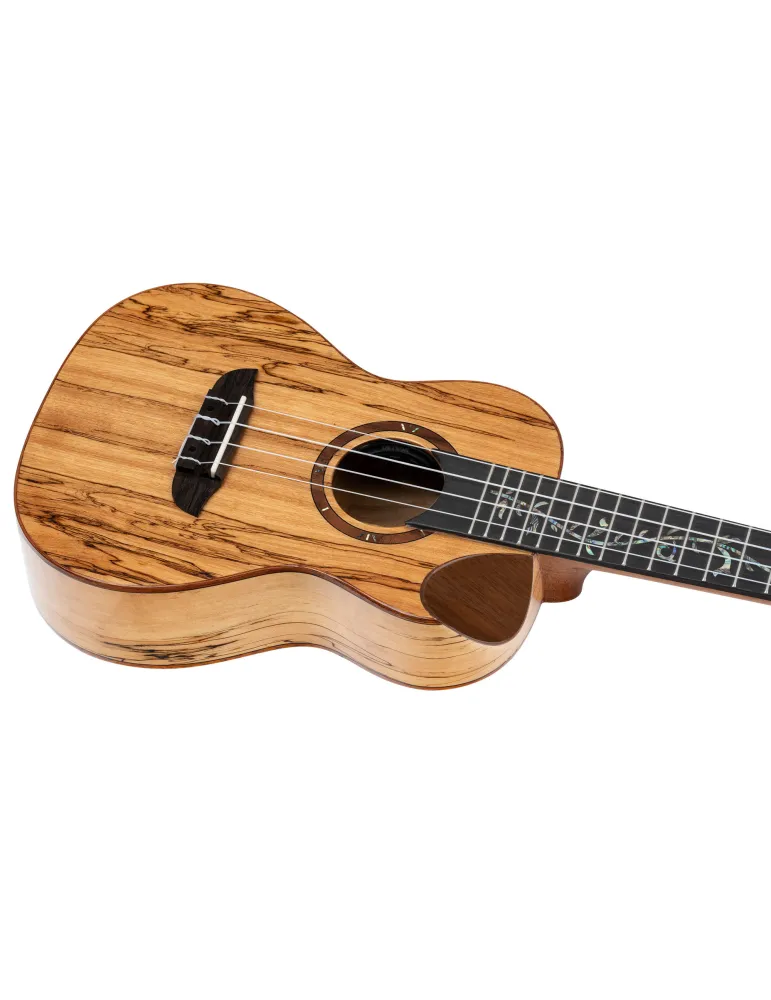  ORTEGA UKULELE CONCERT , ELITE SP-MAPLE|MusicGoodDeal 