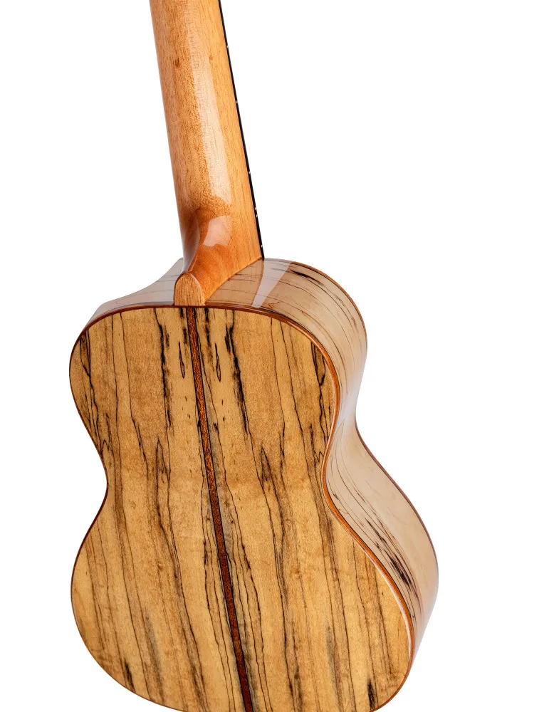  ORTEGA UKULELE CONCERT , ELITE SP-MAPLE|MusicGoodDeal 