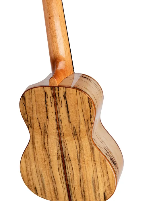  ORTEGA UKULELE CONCERT , ELITE SP-MAPLE|MusicGoodDeal 