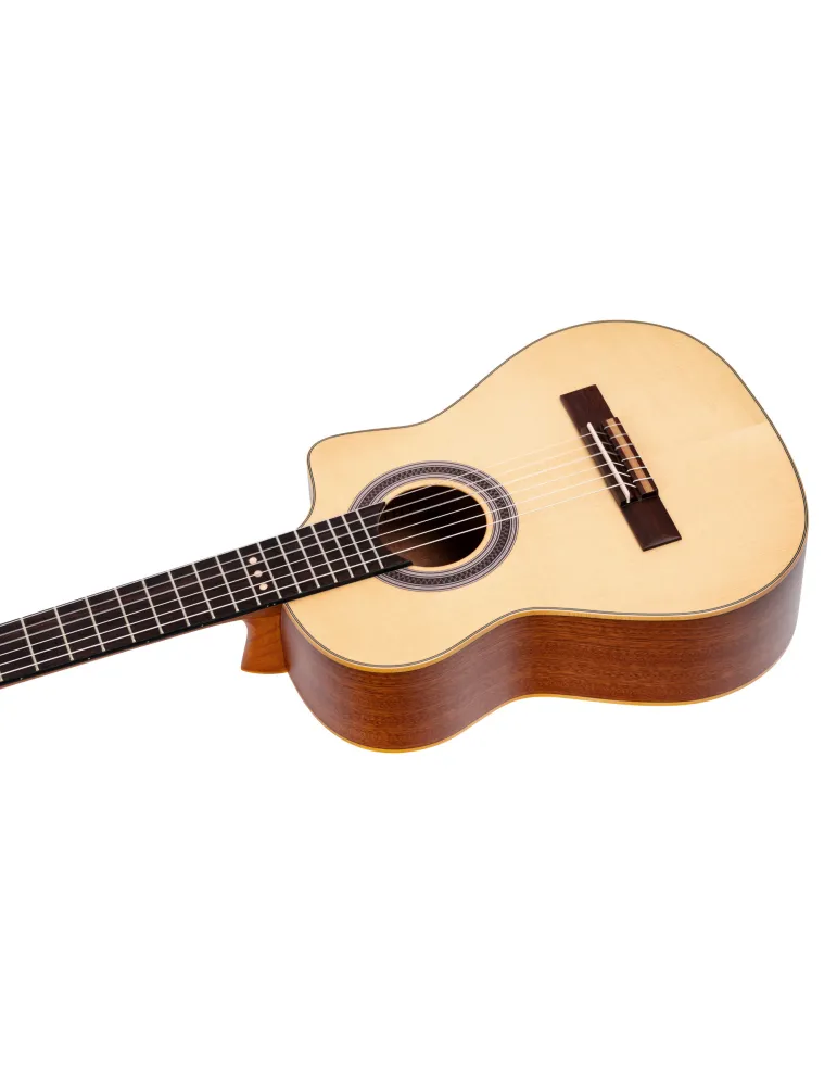 ORTEGA RQ38 | MusicGoodDeal