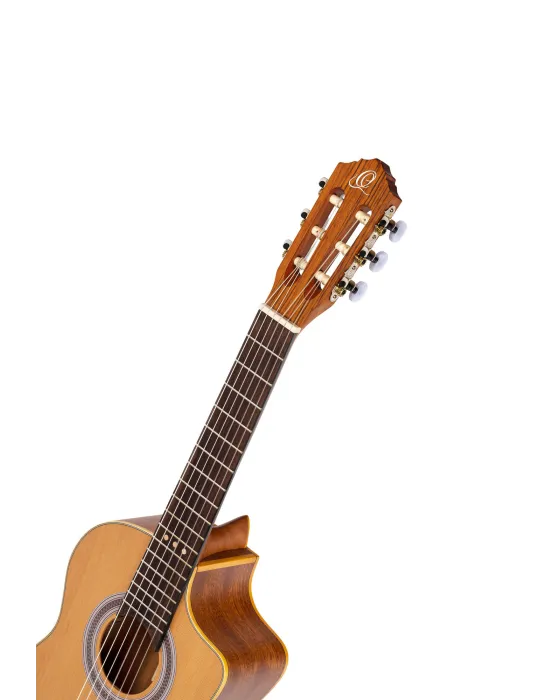 ORTEGA RQ39 | MusicGoodDeal