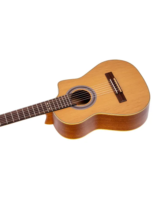 ORTEGA RQ39 | MusicGoodDeal
