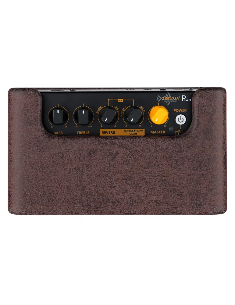 ORTEGA PTWO-BU | MusicGoodDeal