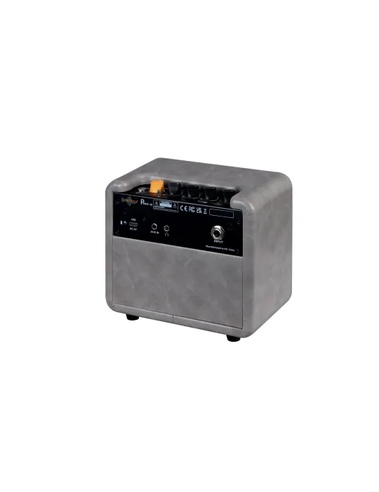 ORTEGA PTWO-E | MusicGoodDeal