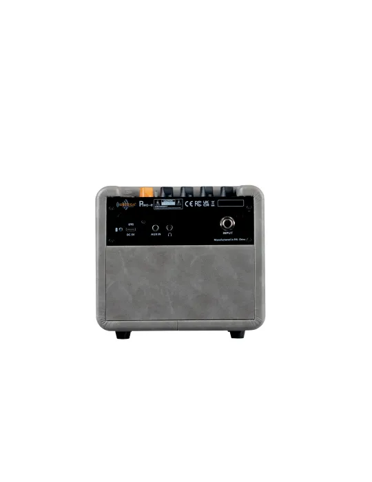 ORTEGA PTWO-E | MusicGoodDeal