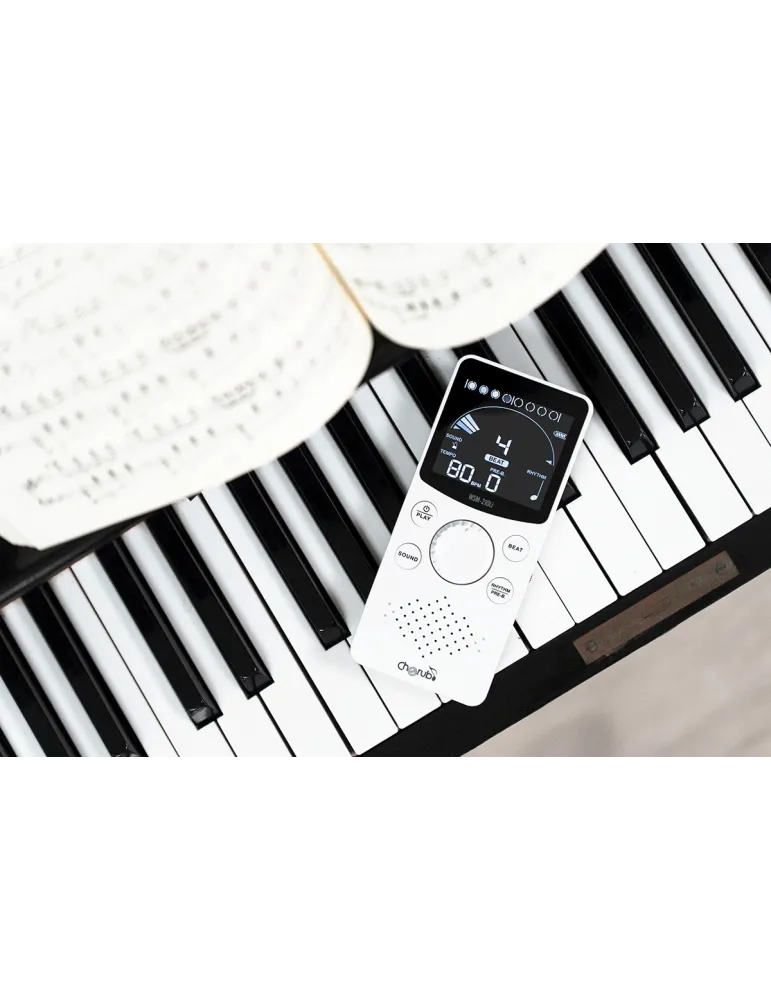 CHERUB WSM-210LI | MusicGoodDeal