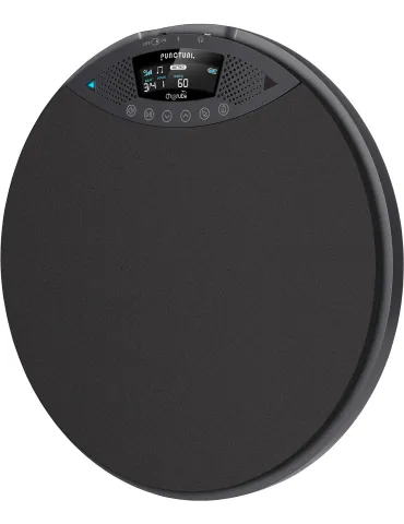 CHERUB DP-970 | MusicGoodDeal 2