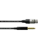 CORDIAL CCM5FP | MusicGoodDeal