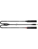 CORDIAL CFY0.3WGG | MusicGoodDeal