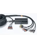 CORDIAL CYB12-4C | MusicGoodDeal