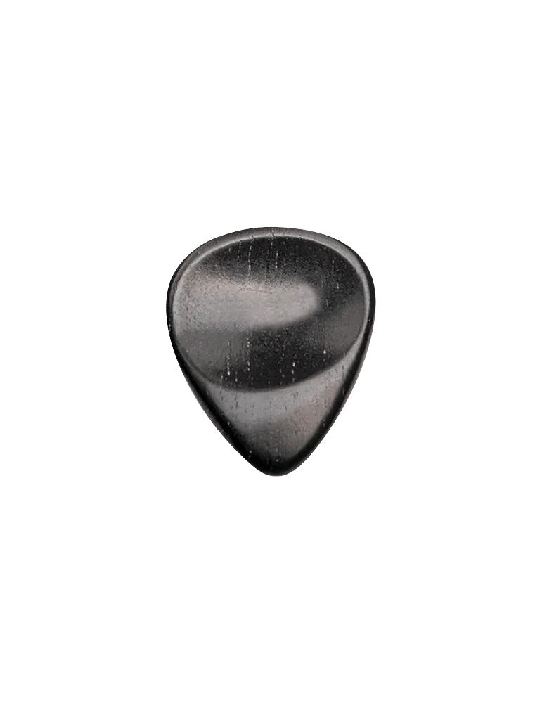 DUGAIN EBENE | MusicGoodDeal