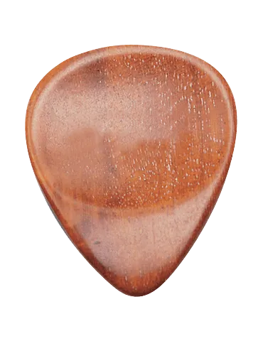DUGAIN PERNAM | MusicGoodDeal