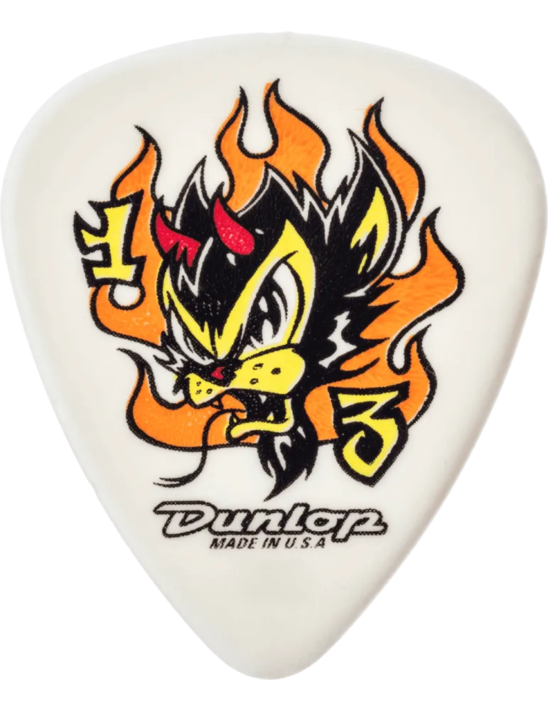 DUNLOP BL100P73 | MusicGoodDeal