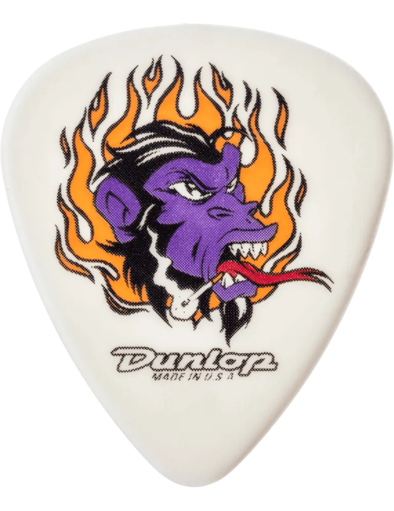 DUNLOP BL100P73 | MusicGoodDeal