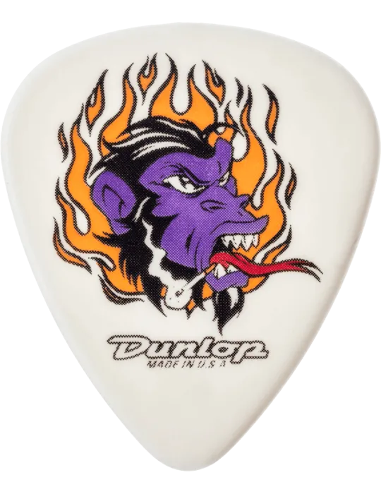 DUNLOP BL100P100 | MusicGoodDeal